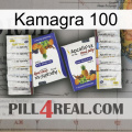 Kamagra 100 12